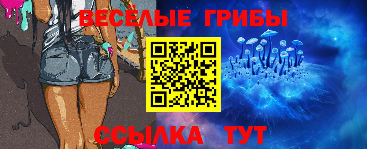 Галлюциногенные грибы прущие грибы Печора