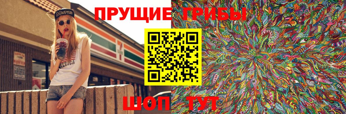 Псилоцибиновые грибы Psilocybe  где купить наркоту  Печора  Вход с VPN 